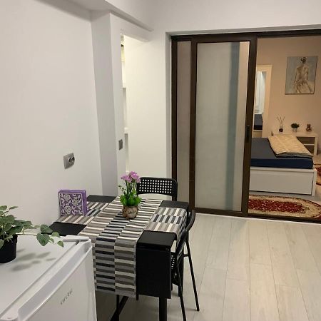City Center Villa Apartament Бухарест Экстерьер фото